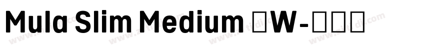 Mula Slim Medium 中W字体转换